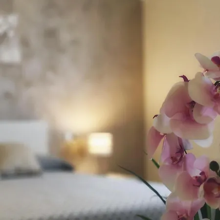 Appartement Flower